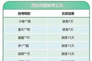 2024年美洲杯官方用球公布：设计灵感源自横跨美洲的山脉